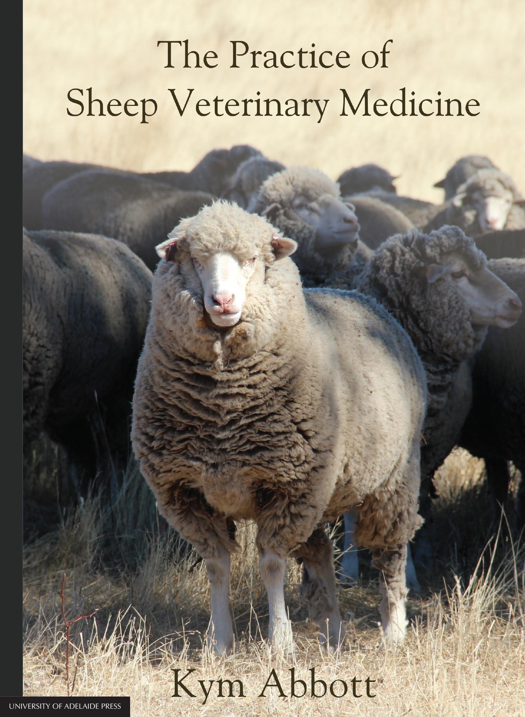 Sheep Medicine cover