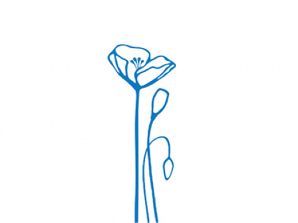 The prestigious annual Young Tall Poppy Science Awards aim to recognise the achievements of Australia’s outstanding young scientific researchers and communicators.