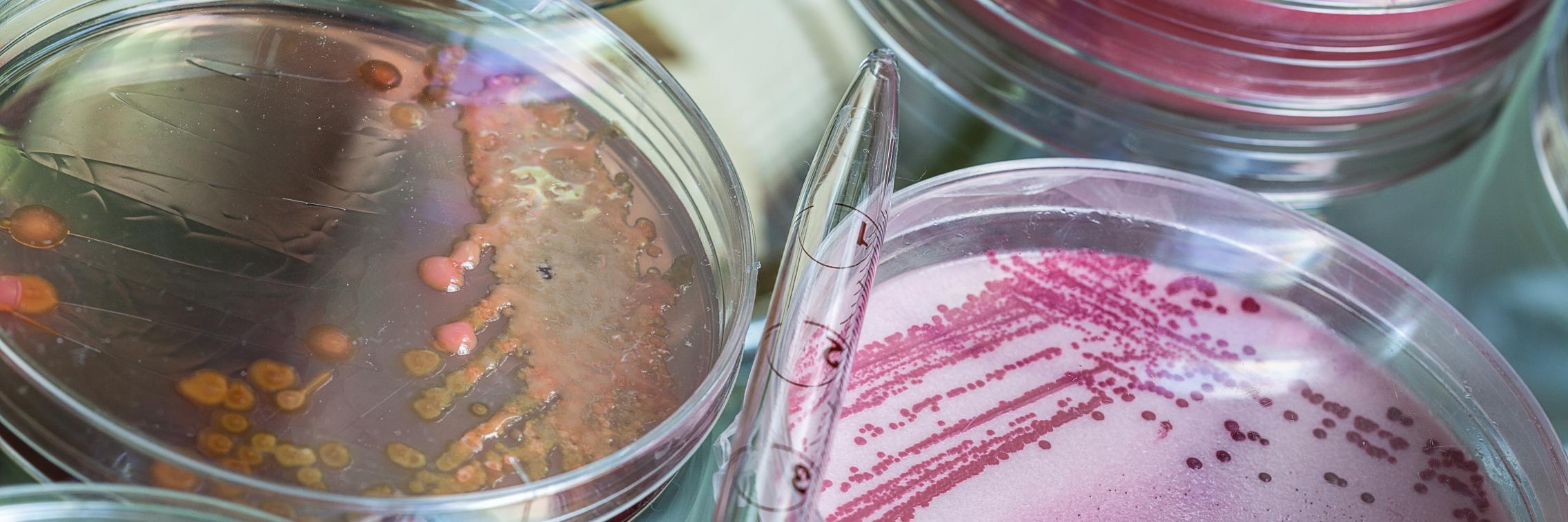 Fast-tracking the fight against disease