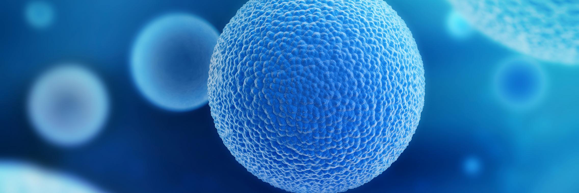 Potential for prostate cancer breakthrough