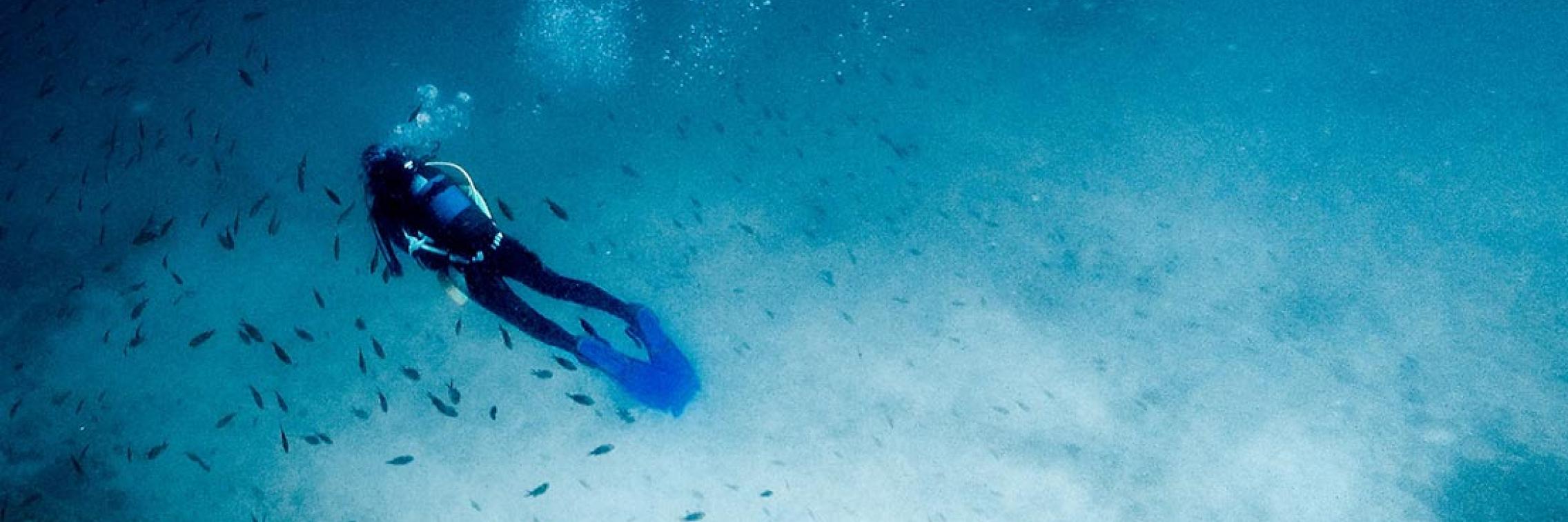 Turning the tide for marine ecology