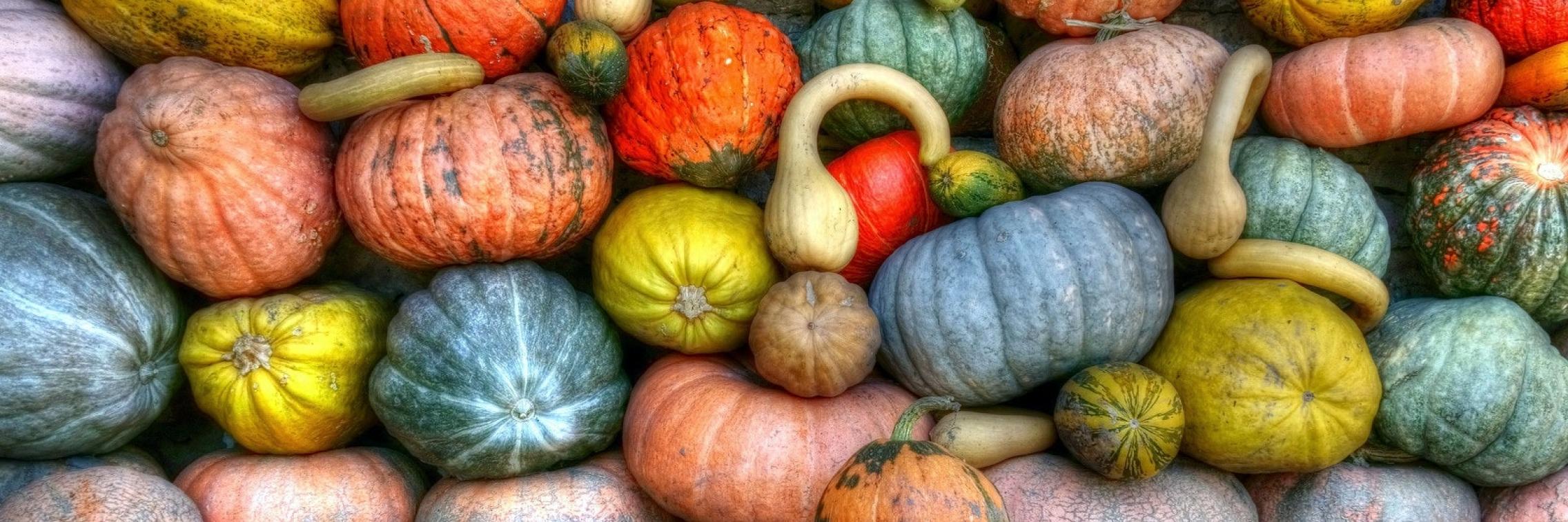 Fuelling the future with food waste