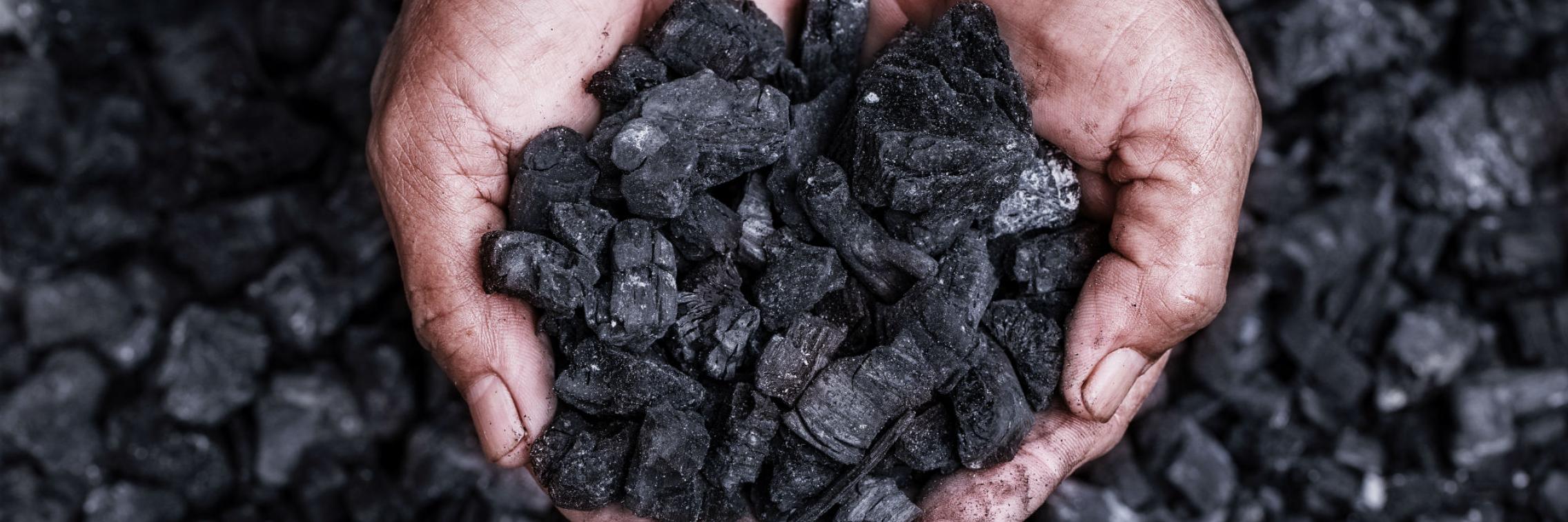 Hands holding activated carbon