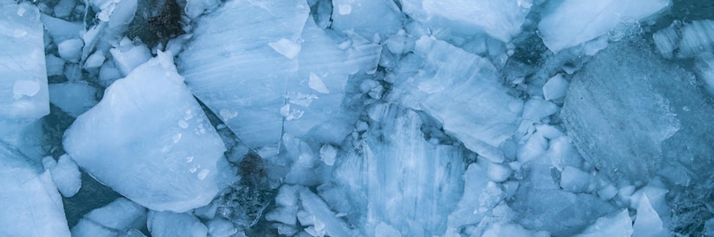 Sea ice