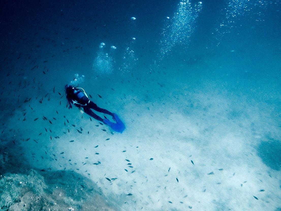 Turning the tide for marine ecology