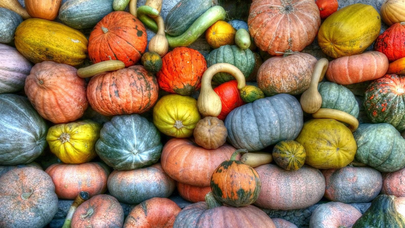Fuelling the future with food waste