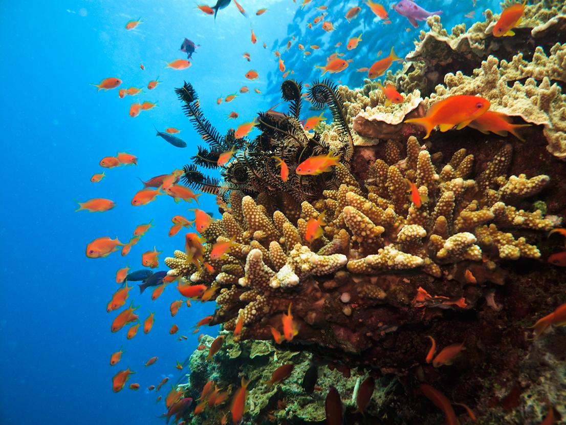 ‘Revolutionary change’ needed to stop unprecedented global extinction crisis
