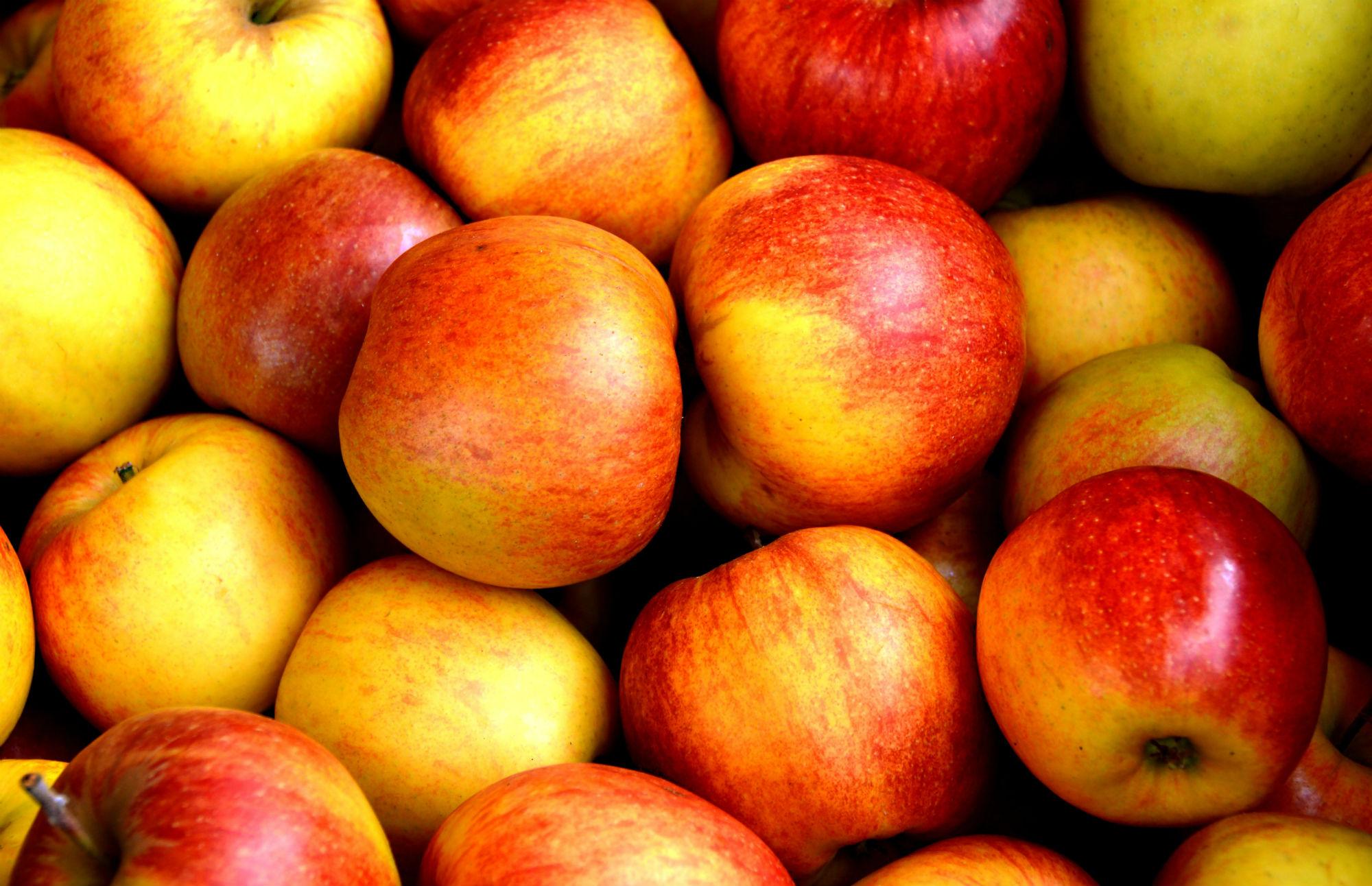Basket of apples close up