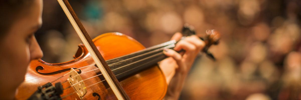 Violinist performing
