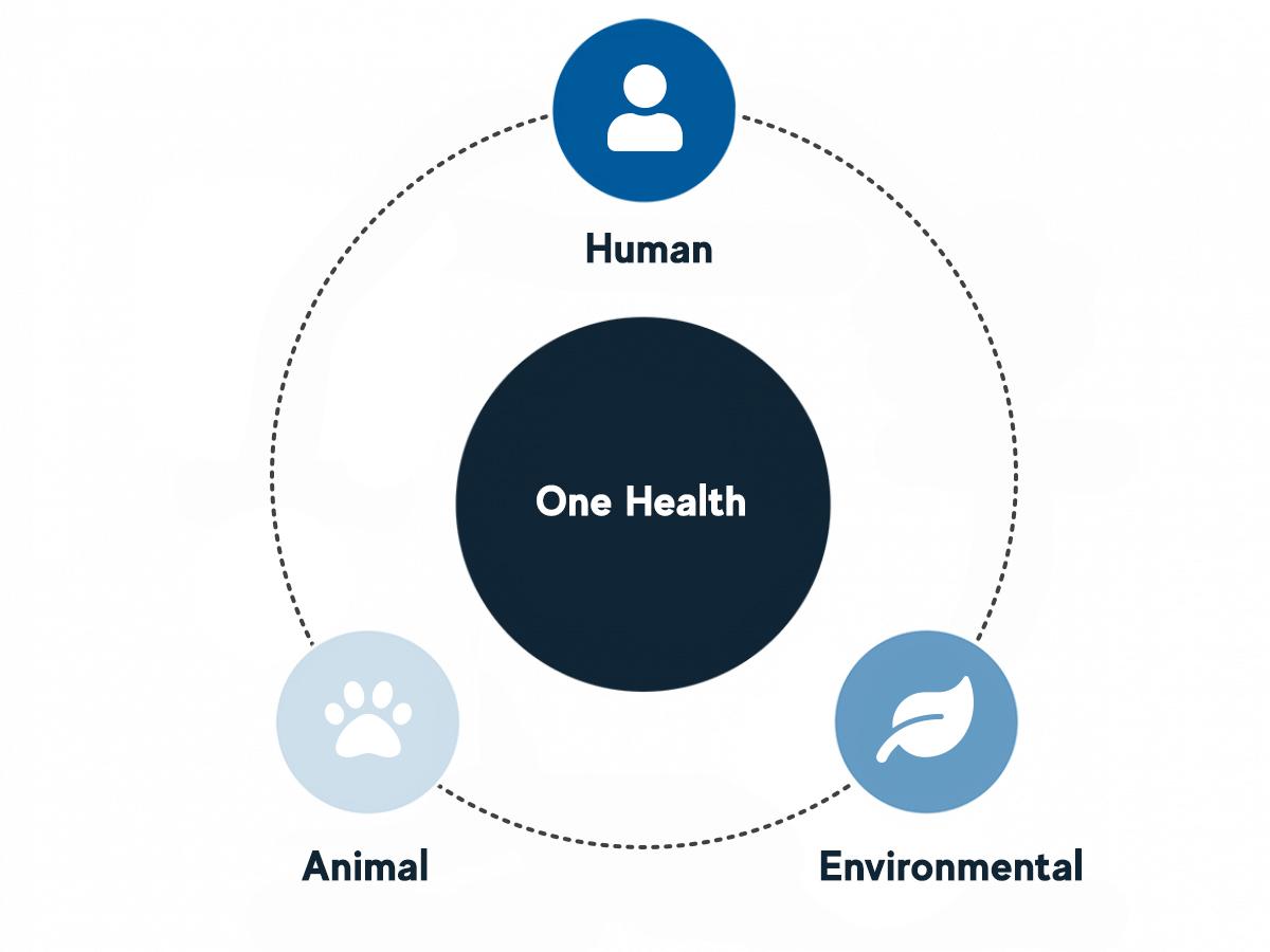 A diagram showing One Health is the intersection of human health, animal health, and environmental health.