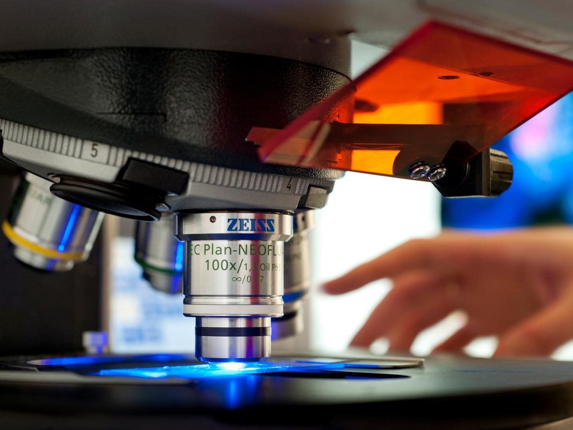 Gene Silencing and Expression Facility (GSEx) RRI