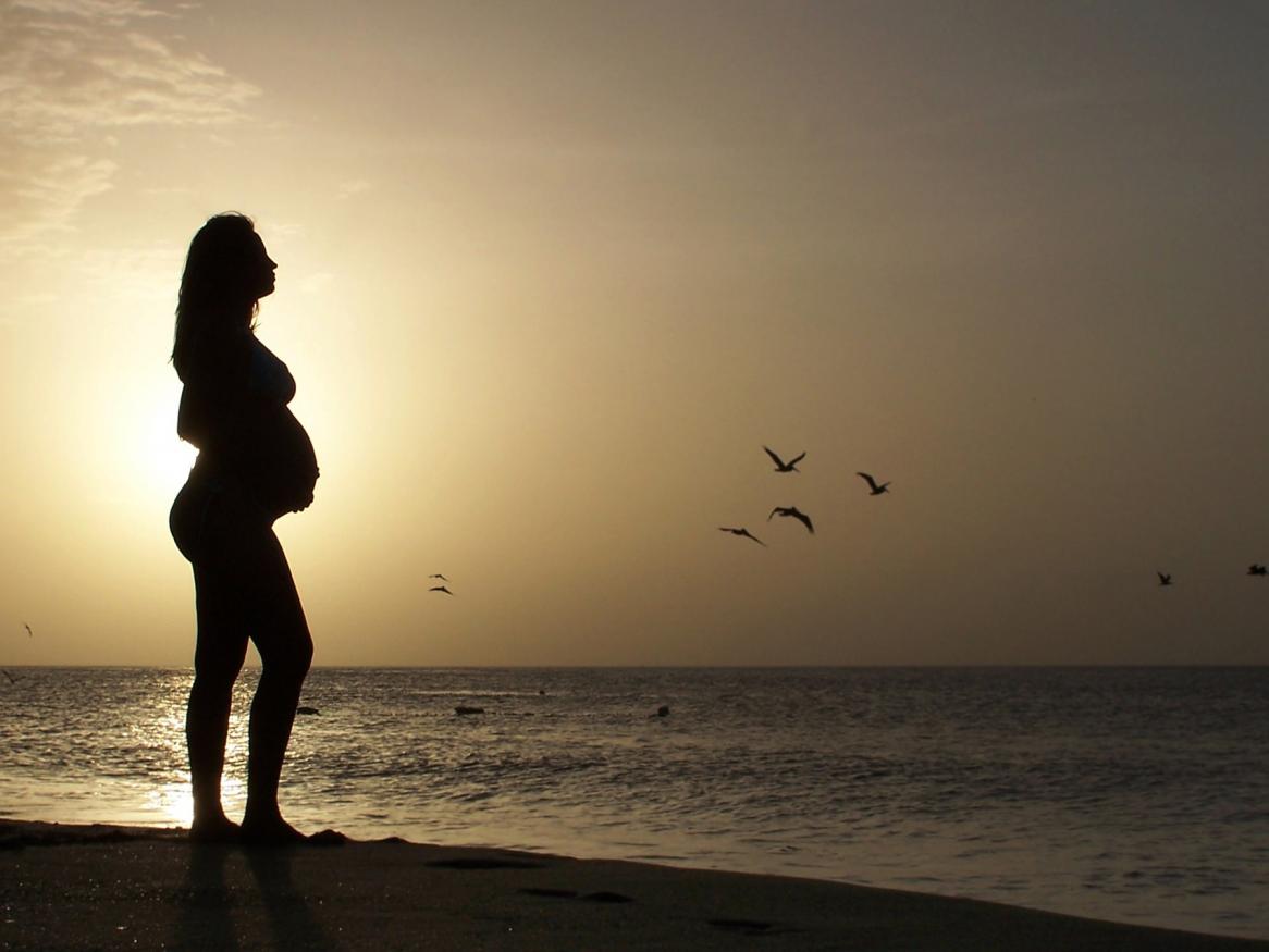 Ovaries reveal keys to managing fertility