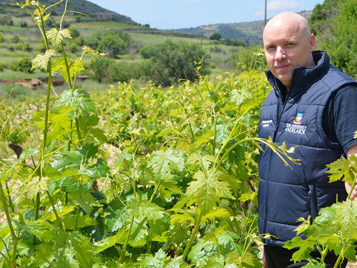 Alex Copper with the drought-tolerant variety Xynisteri