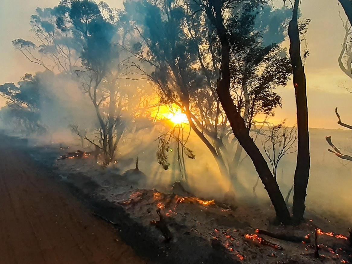 I Made Bushfire Maps From Satellite Data And Found A Glaring Gap In Australia S Preparedness Research Innovation University Of Adelaide