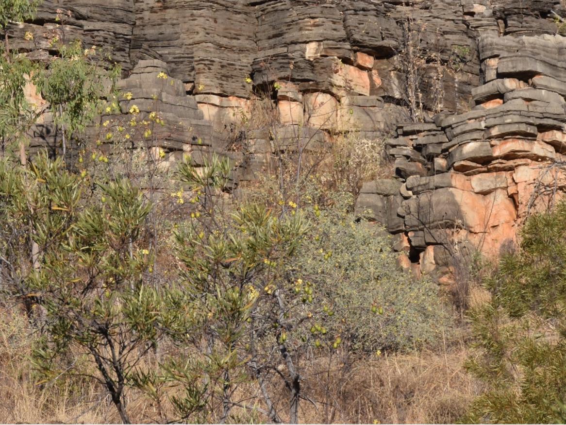 Ancient rock strata 
