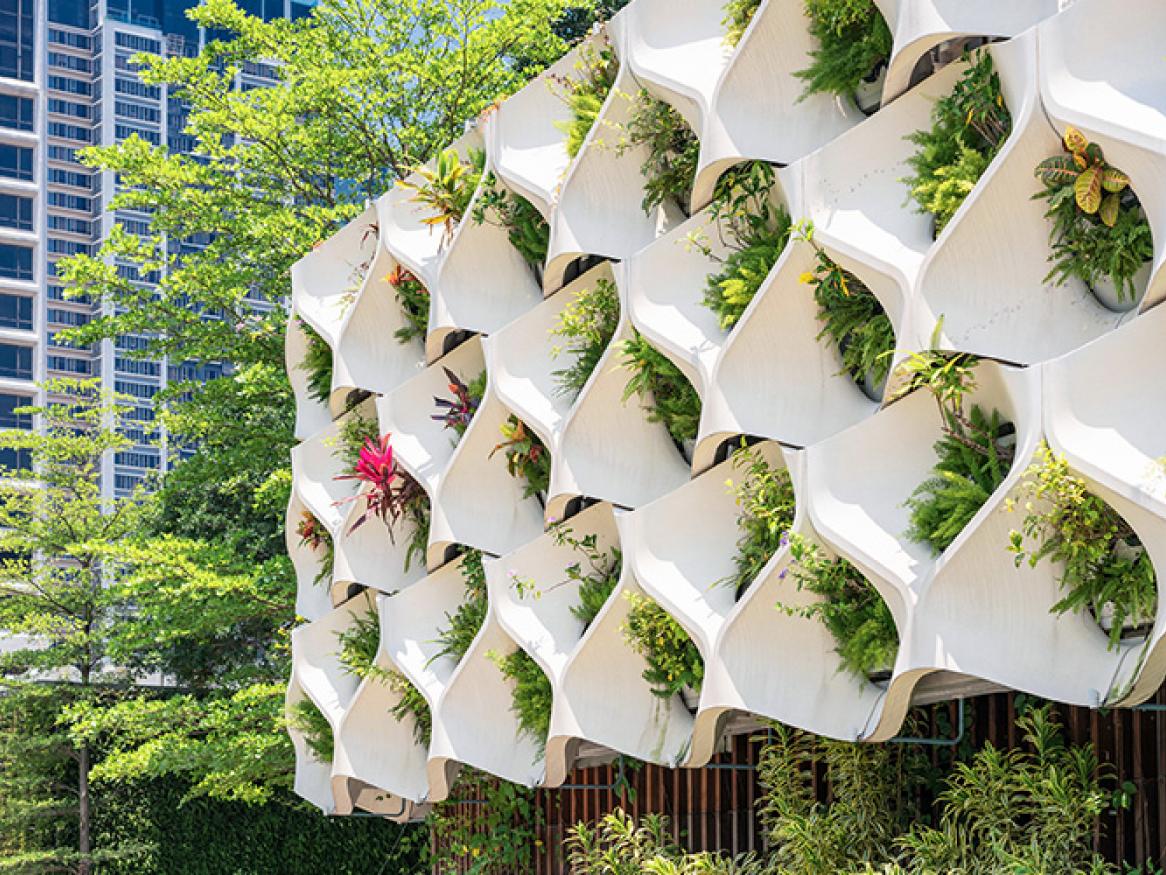 Living wall of plants for Rachel Burton News Story