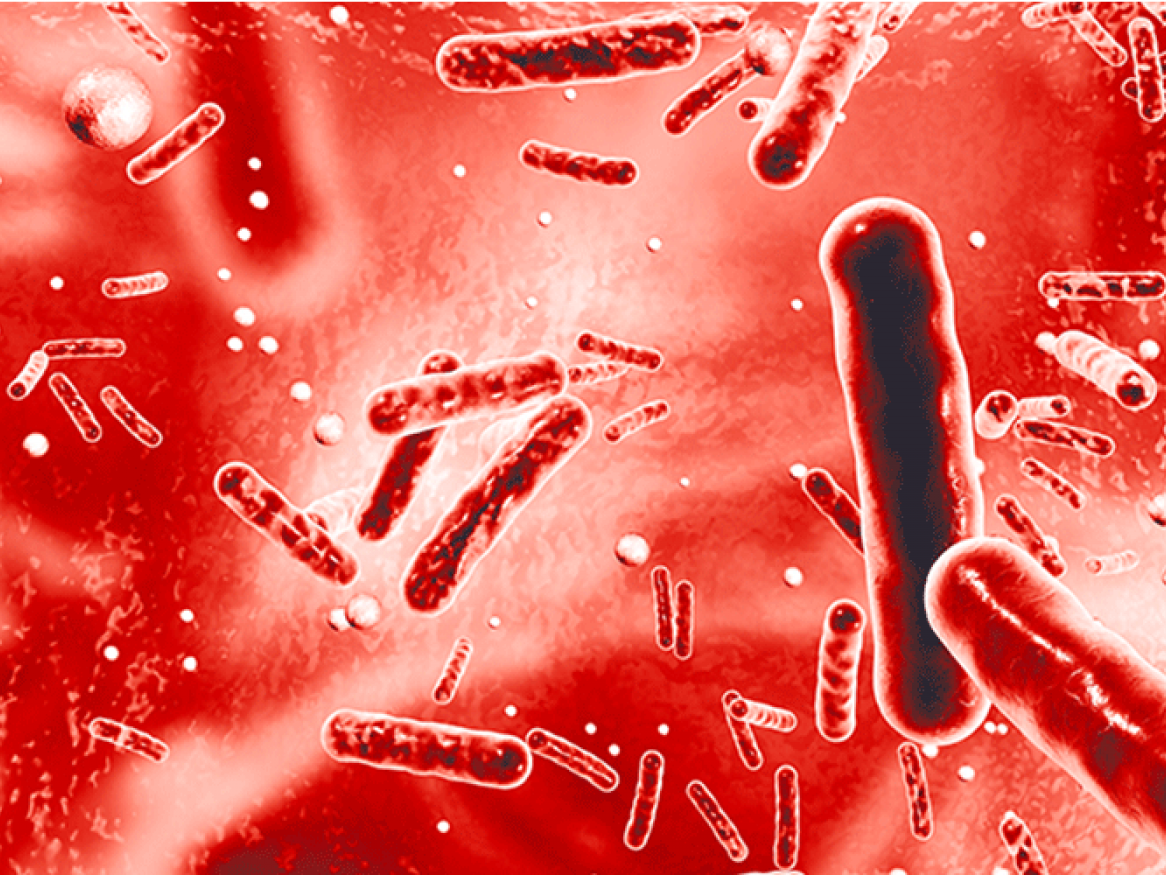 Superbug solutions