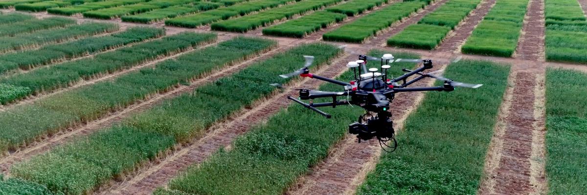 Drone flying over paddock 