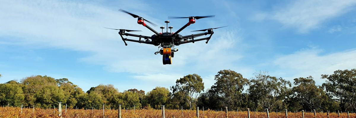 Drone flying over vineyard