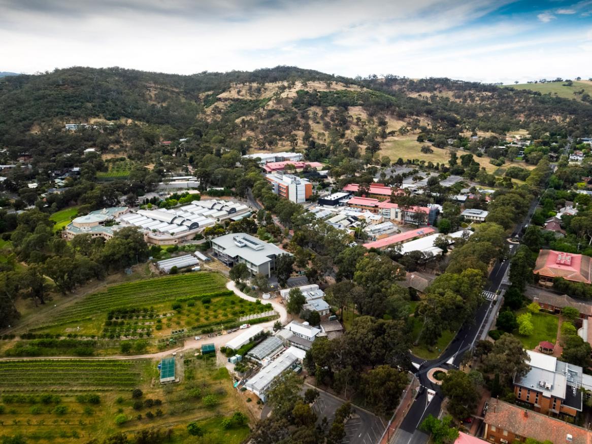 Waite campus aerial drone