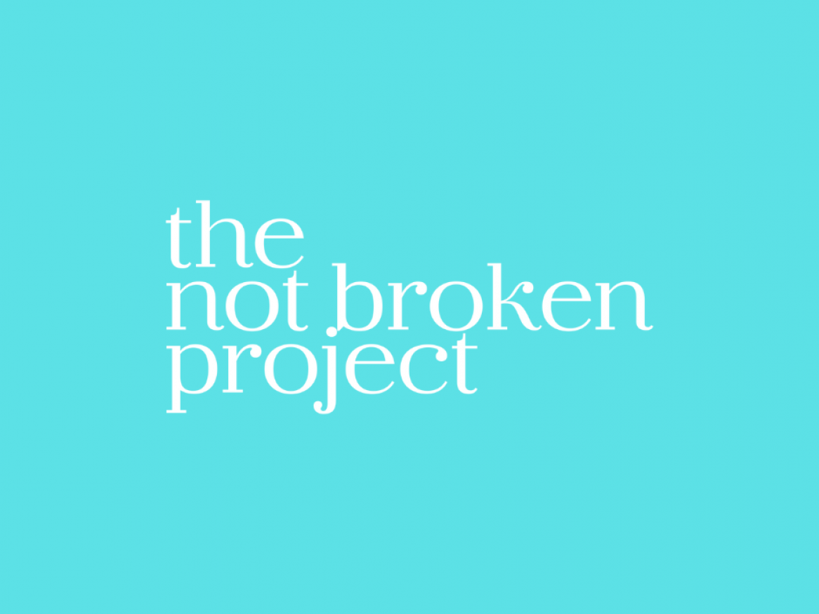 Not broken project logo