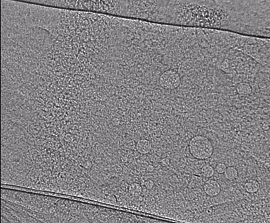 environmental lead dust
