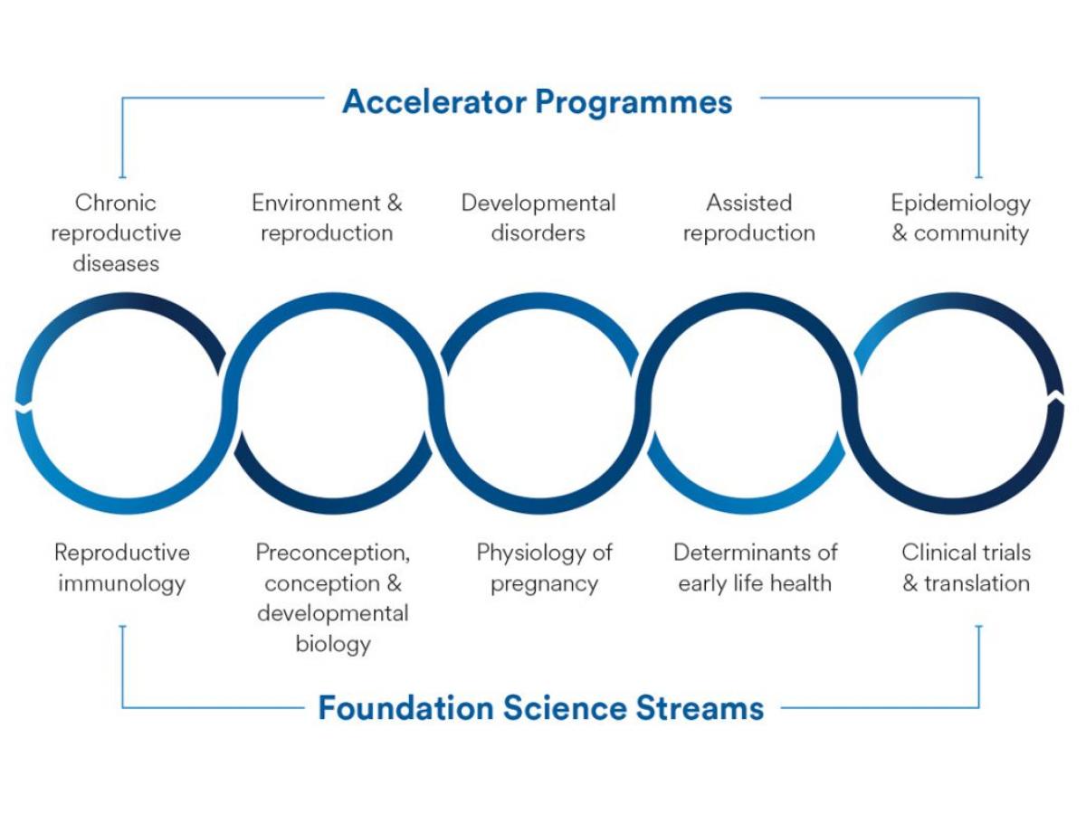 RRI research structure