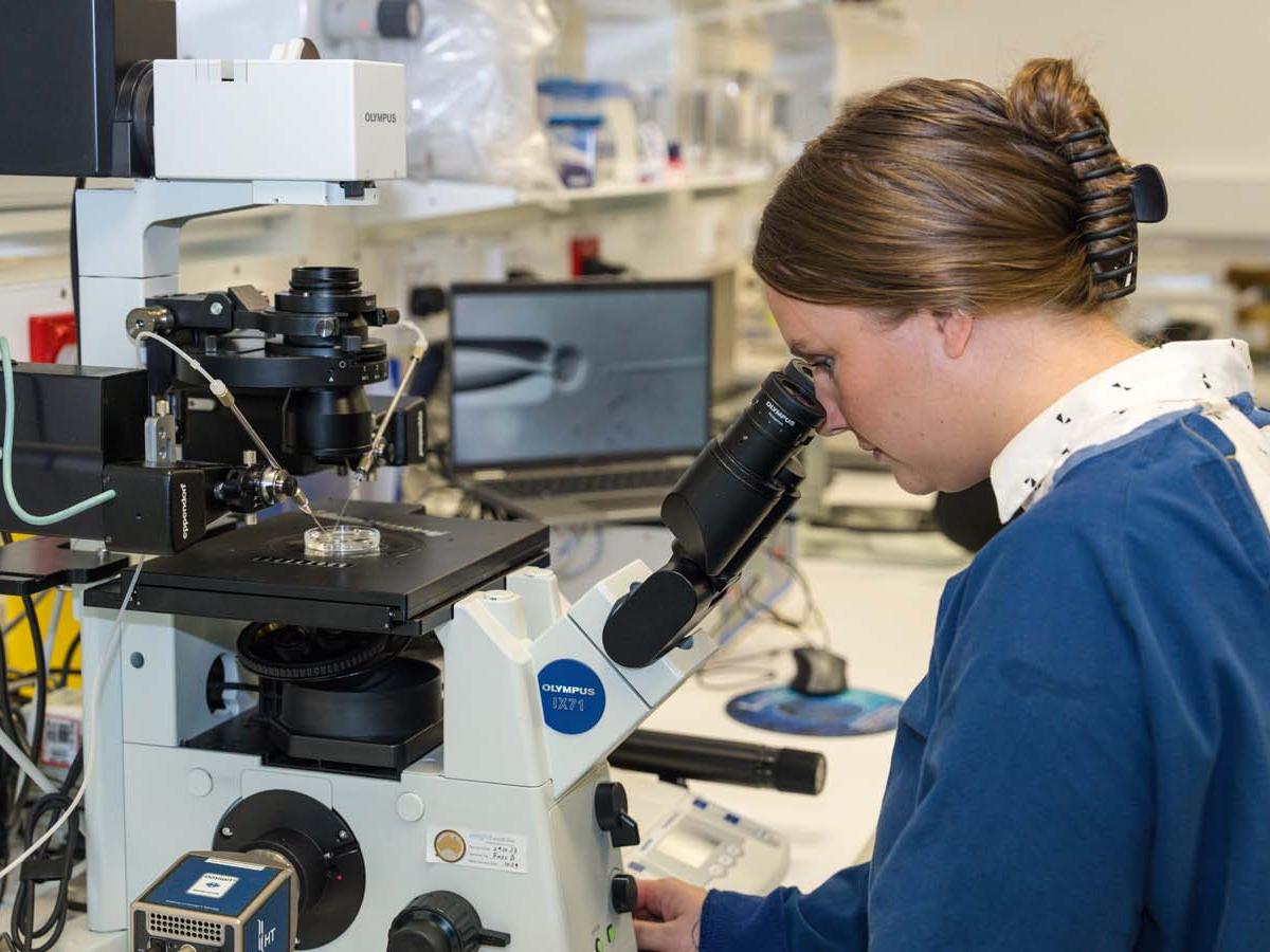 researcher with microscope 