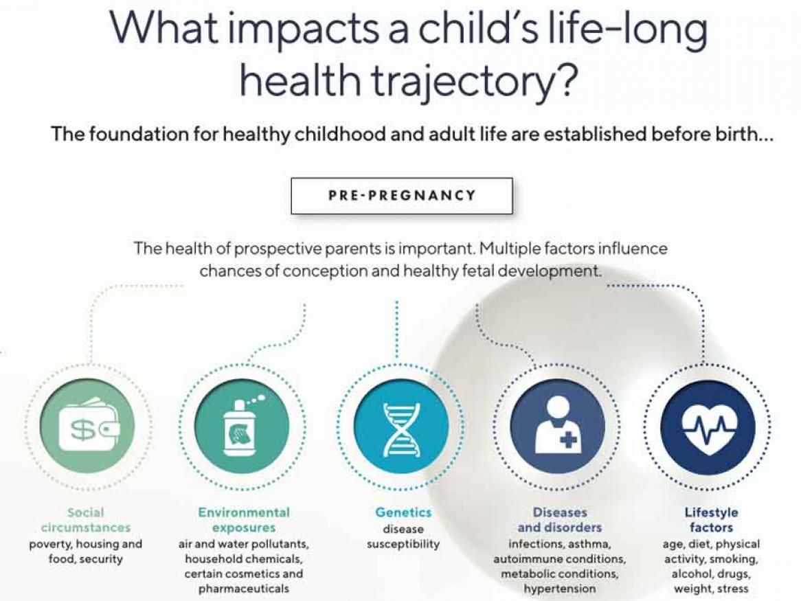 What impacts a child’s life-long health trajectory?