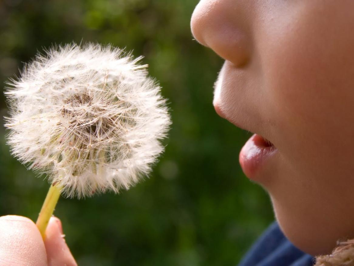 cystic fibrosis in children 