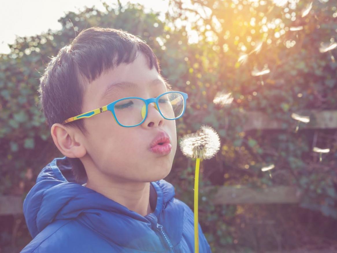boy blowing flower 