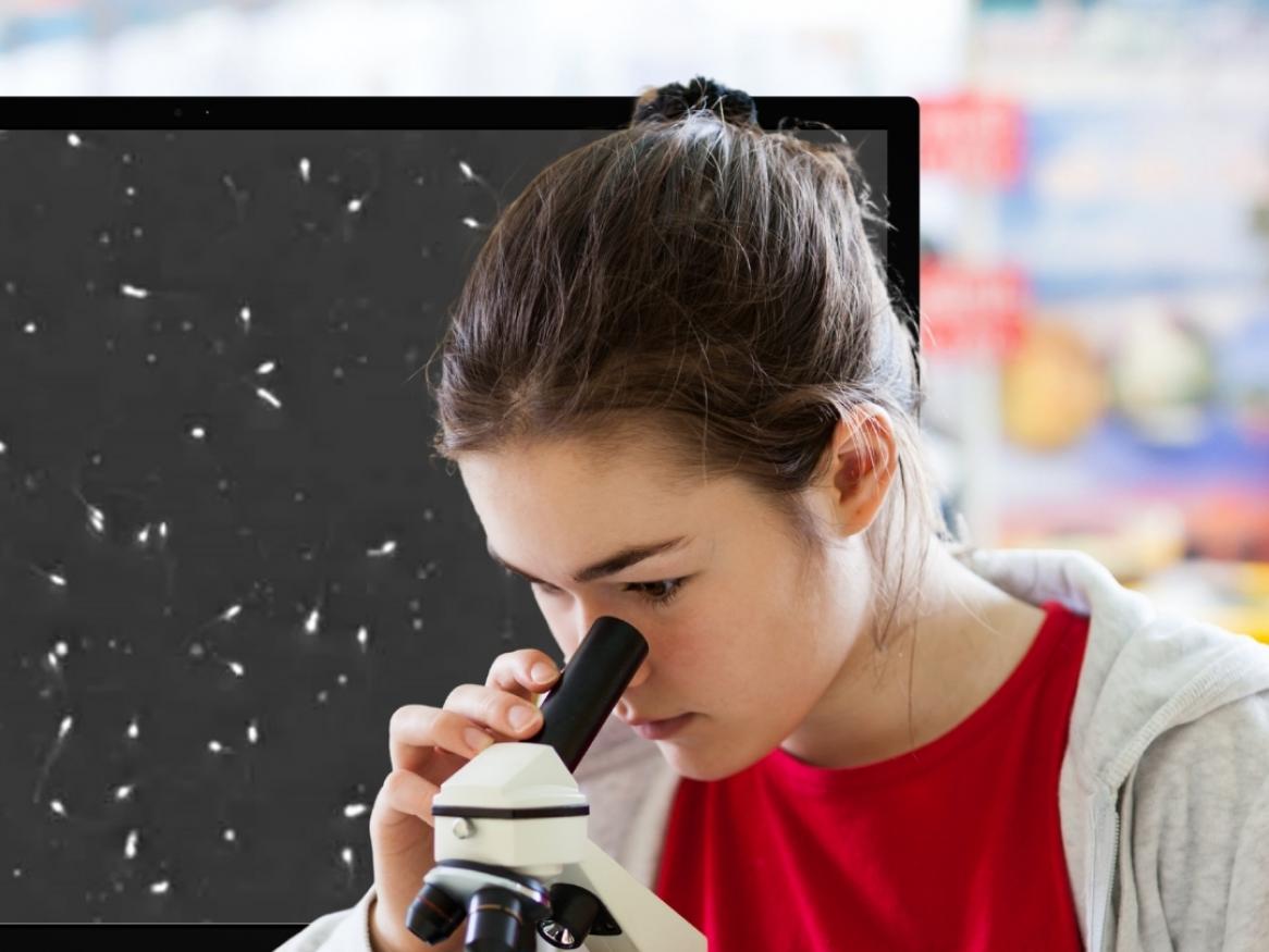 science alive