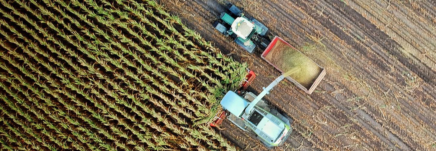 Farming