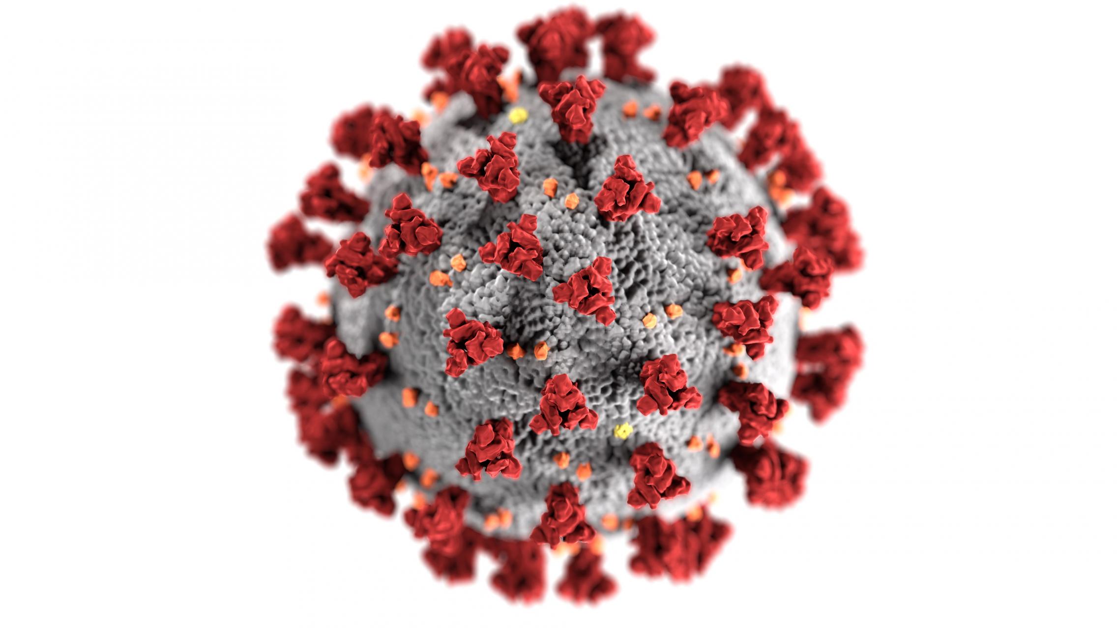 cdc image of coronavirus