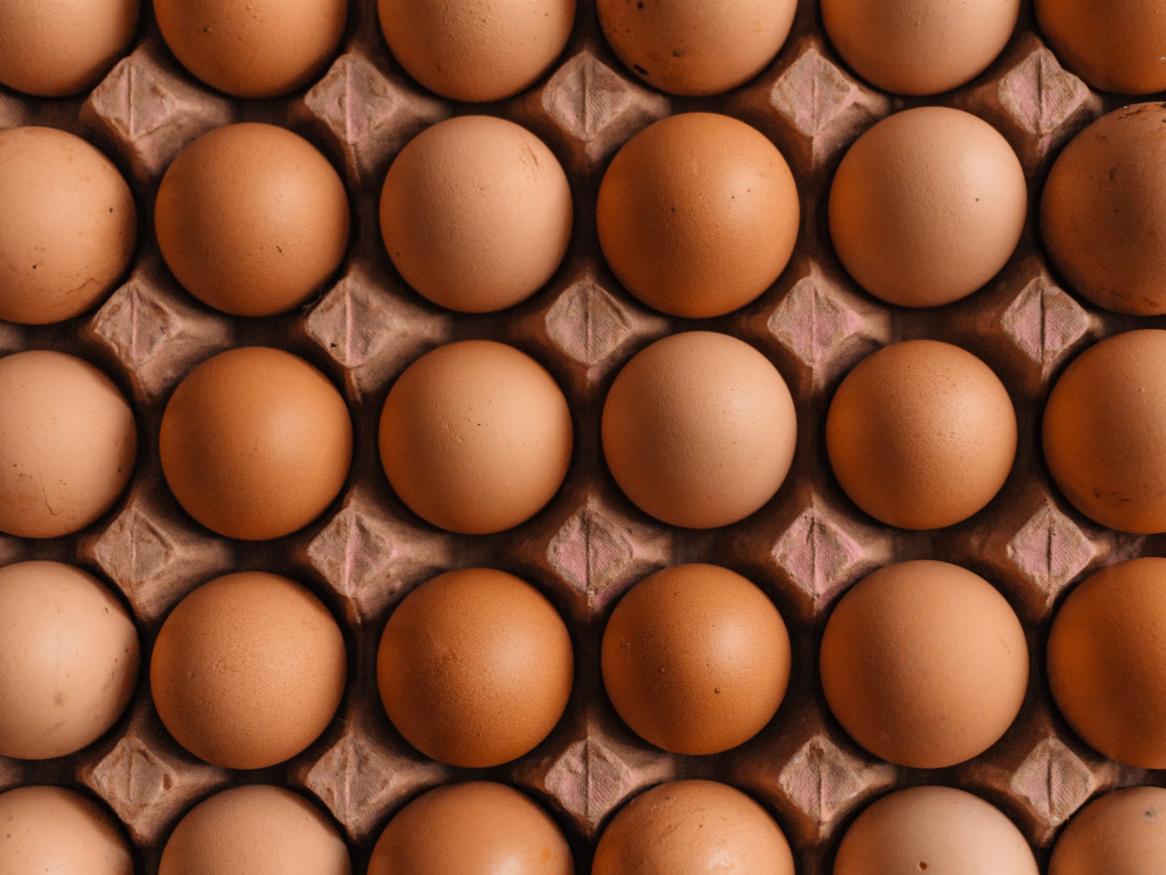 eggs