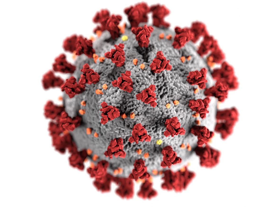 cdc image of coronavirus