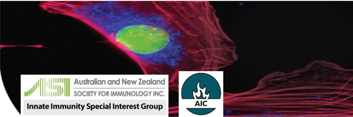 AIC Symposium Banner