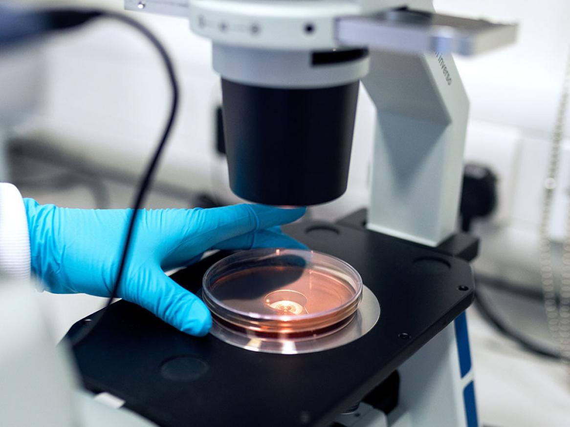Cancer Epigenetics