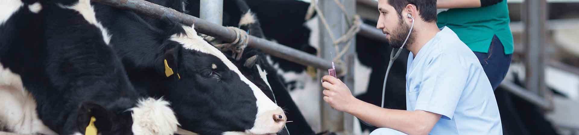 Bachelor of Science (Animal Science) | Degree Finder Bachelor of Science (Animal Science) | Degree Finder