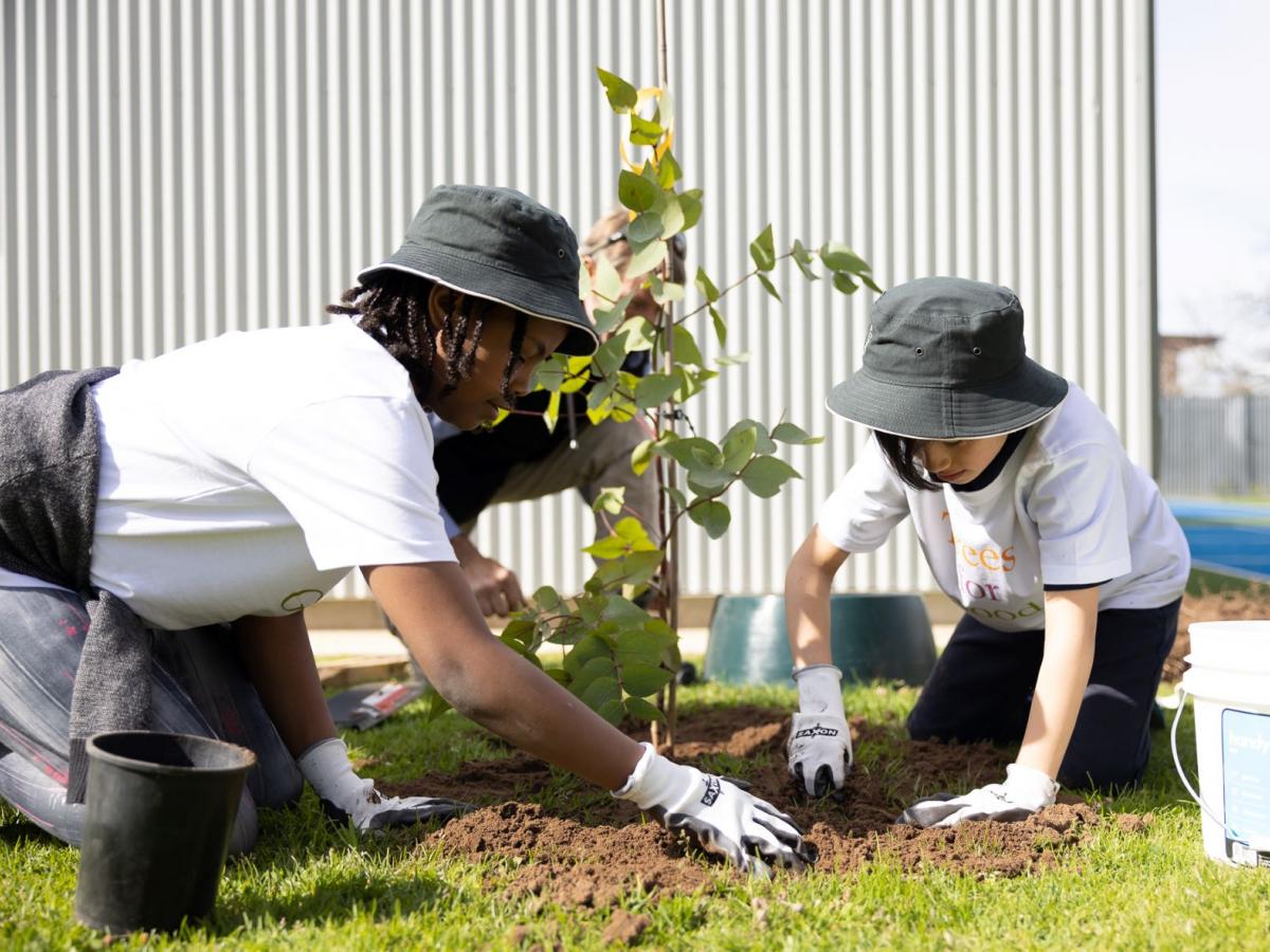 Trees for Good