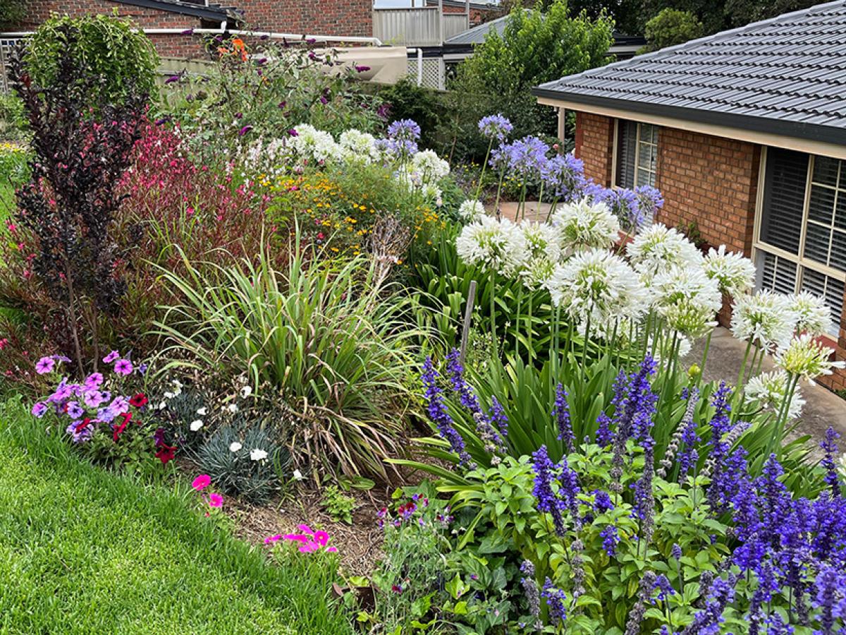 Garden Image 3