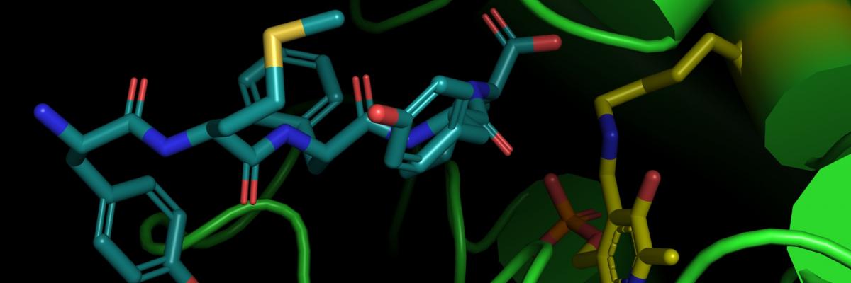 Computer generated image of drug design for Adelaide Drug Discovery Incubator
