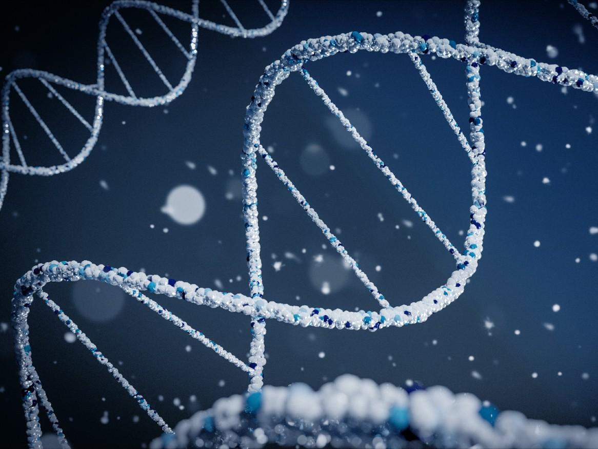 DNA