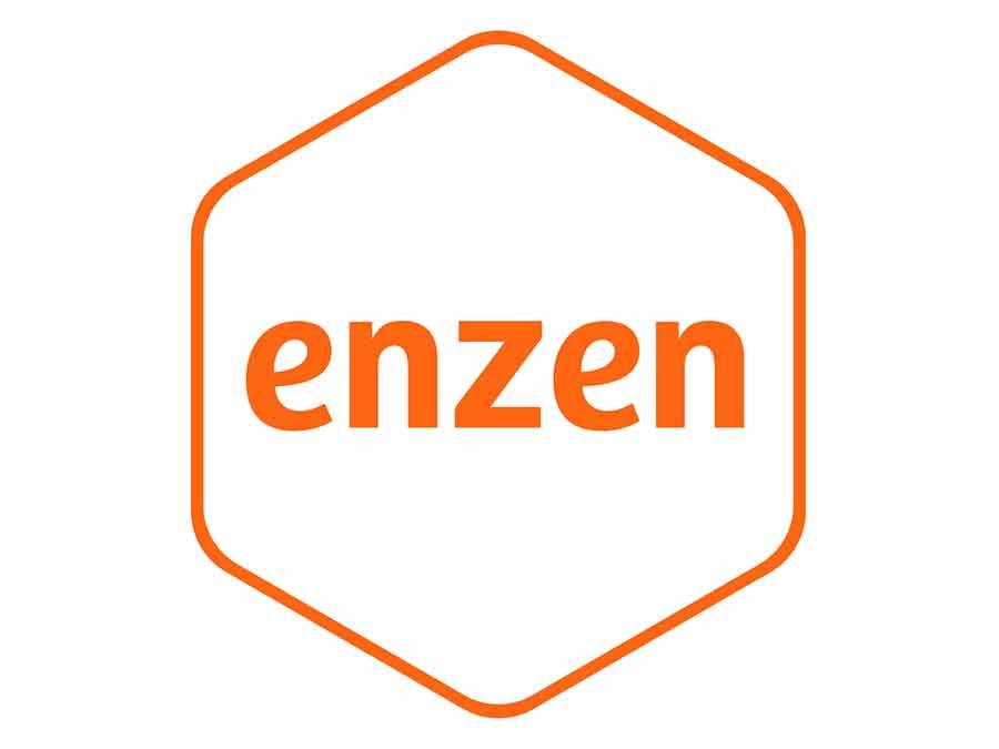 Enzen company logo