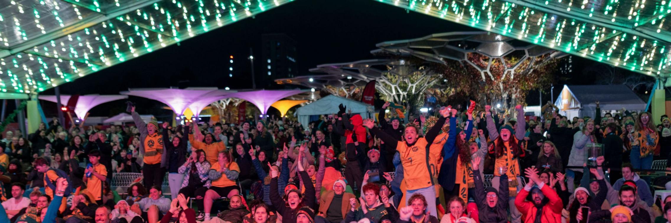 crowd at FIFA Fan Festival