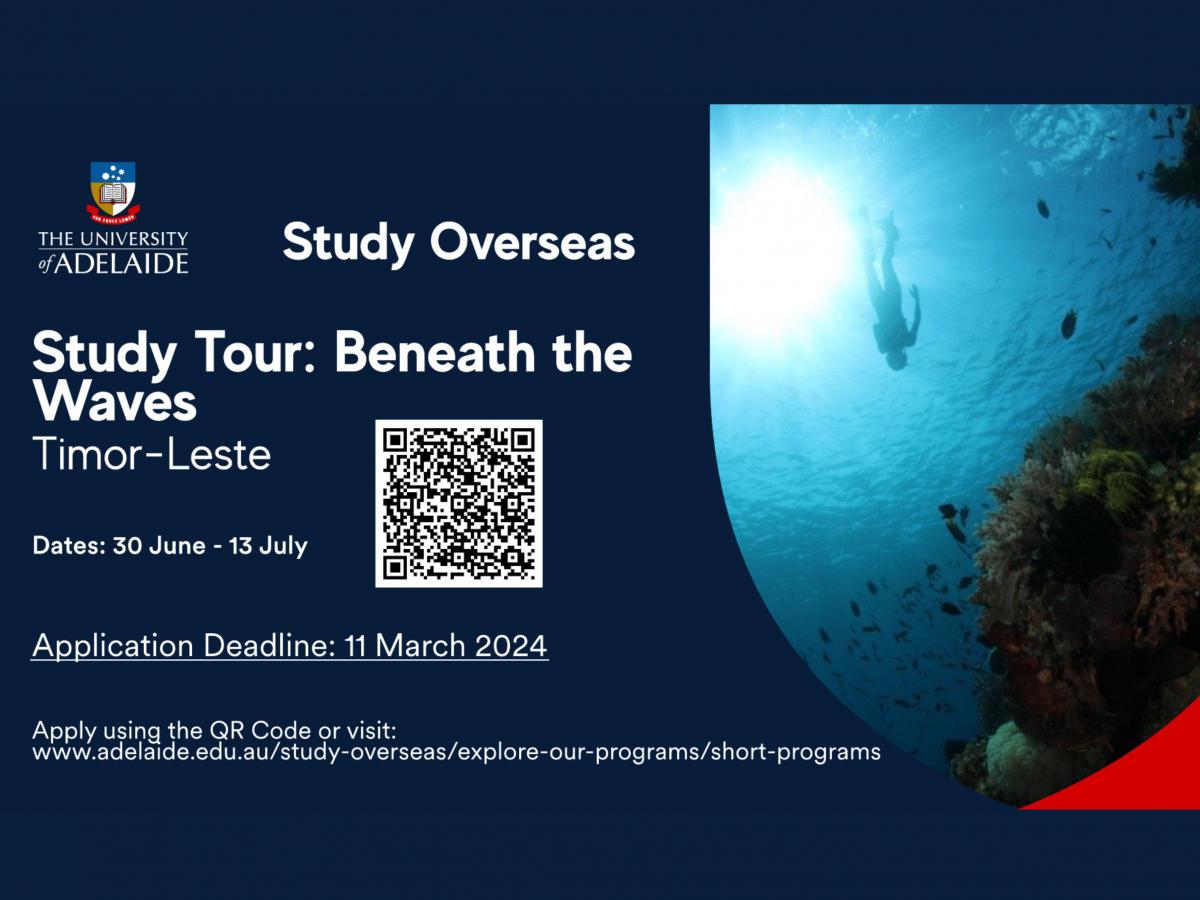 Study Tour: Beneath the Waves 2024