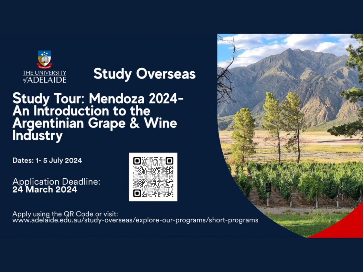Study Overseas in Mendoza, Argentina