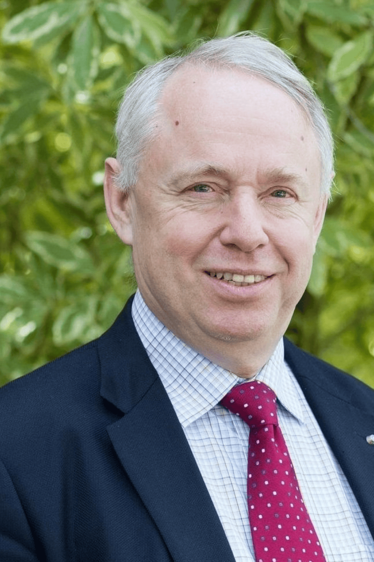 Professor Göran Roos