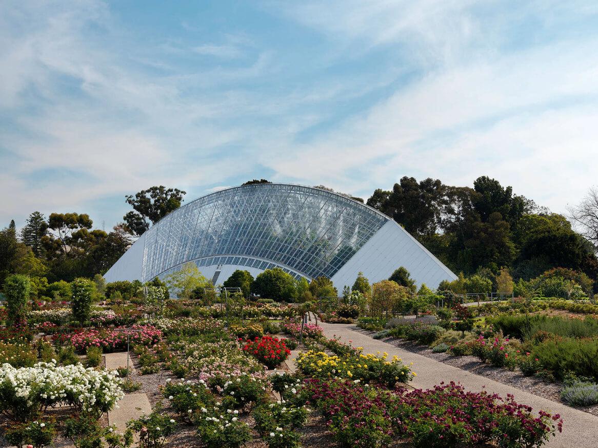 image of Botanic Gardens conservatory