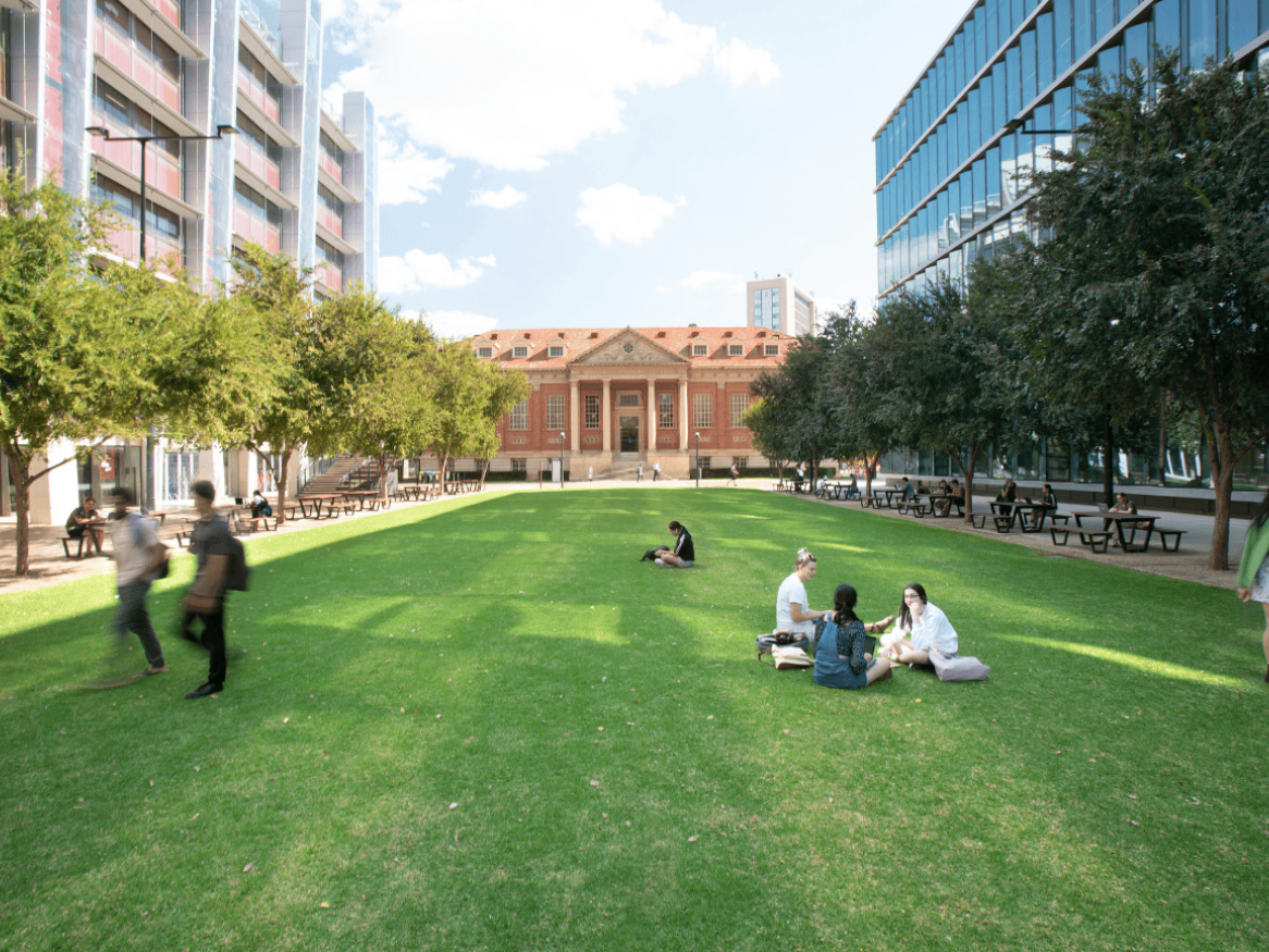 Maths Lawn
